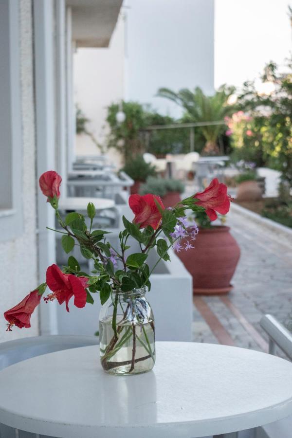 Agia Marina Stefanie Studios מראה חיצוני תמונה